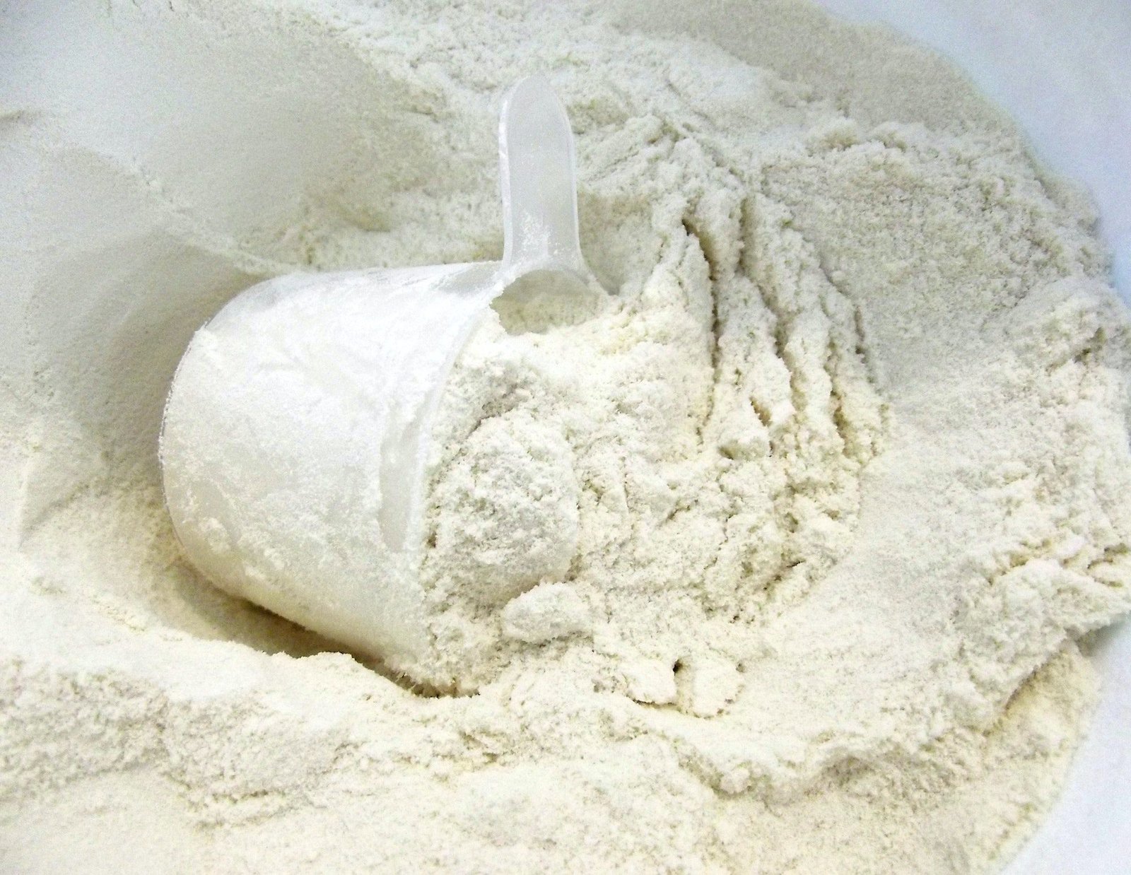 diferencias entre proteína whey y caseína